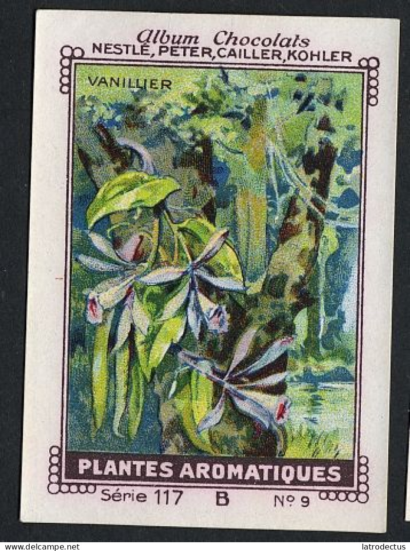 Nestlé - 117B - Plantes Aromatiques, Aromatic Plants - 9 - Vanillier, Vanilla - Nestlé