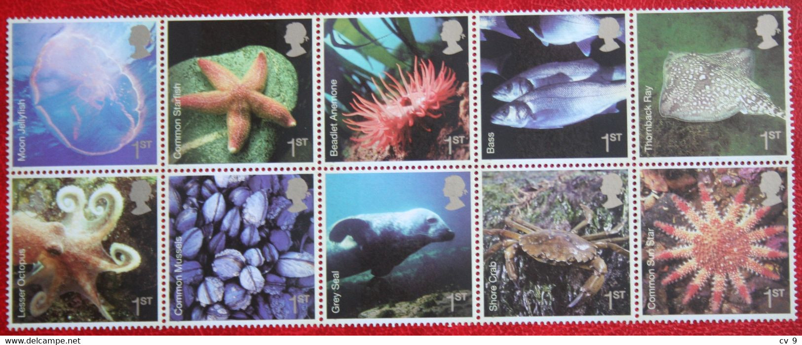 Sealife Fish FAuna Marine (Mi 2480-2489) 2007 POSTFRIS MNH ** ENGLAND GRANDE-BRETAGNE GB GREAT BRITAIN - Ongebruikt