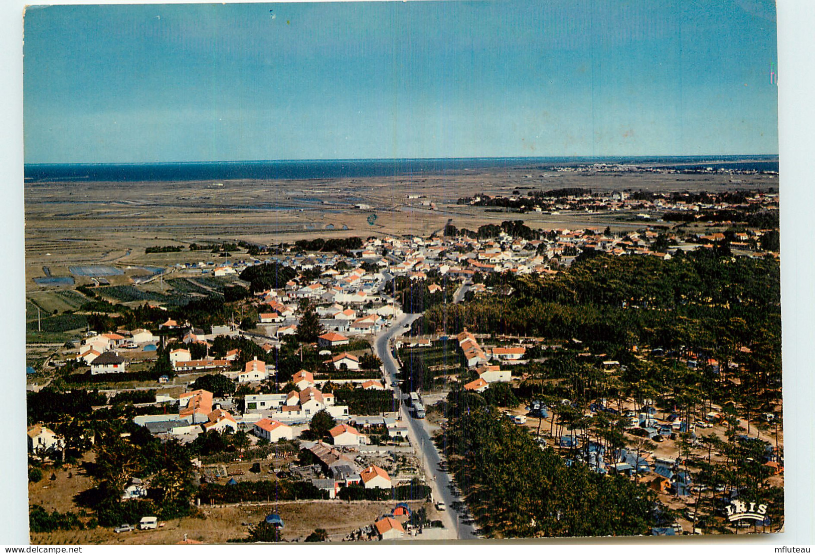 85* NOIRMOUTIERS  Bosse - Epine  ( CPM 10x15cm)    MA54-0550 - Noirmoutier