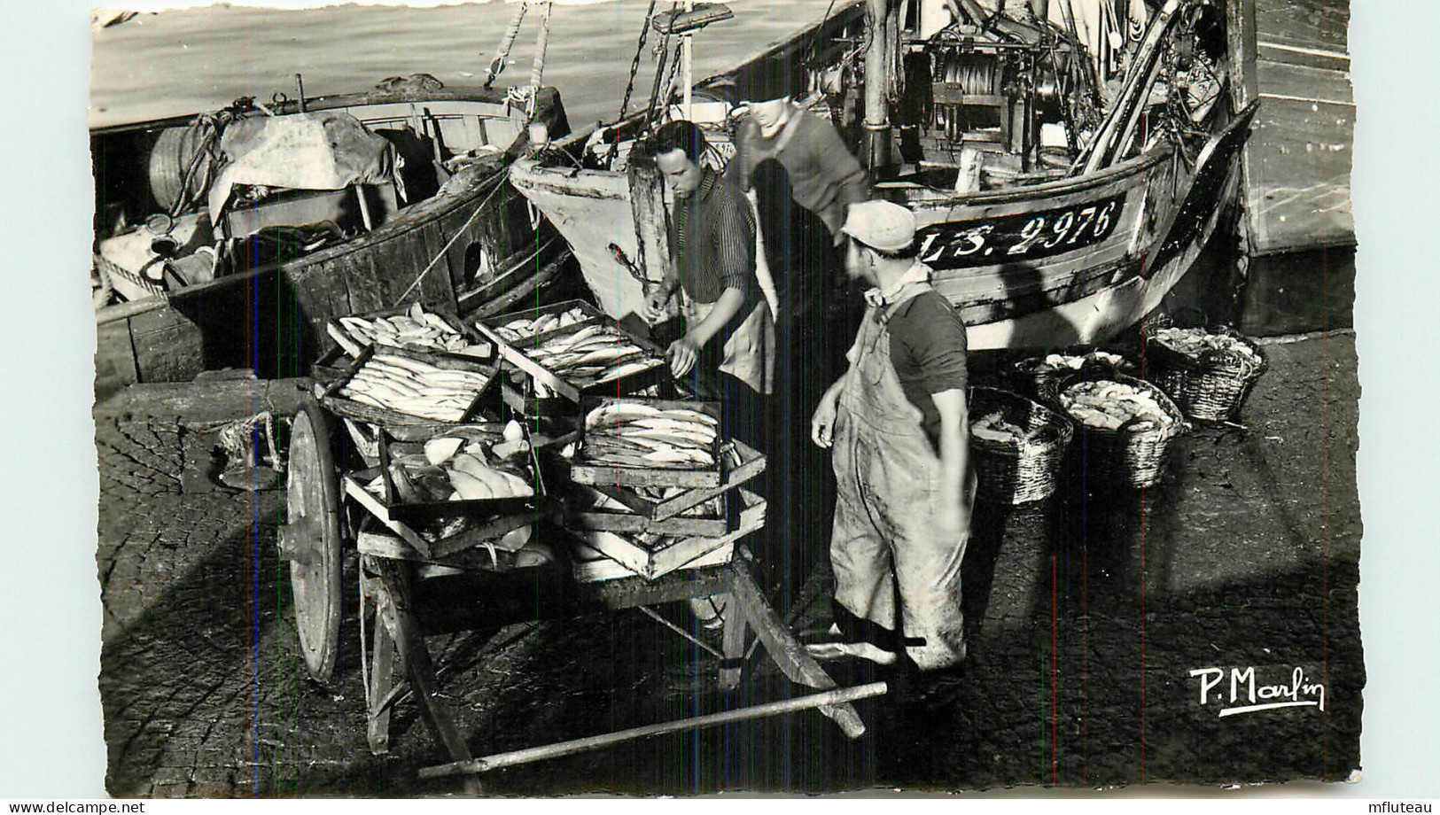 85* LES SABLES D4OLONNE  Poisson (CPSM 9x14cm)                     MA54-0521 - Sables D'Olonne