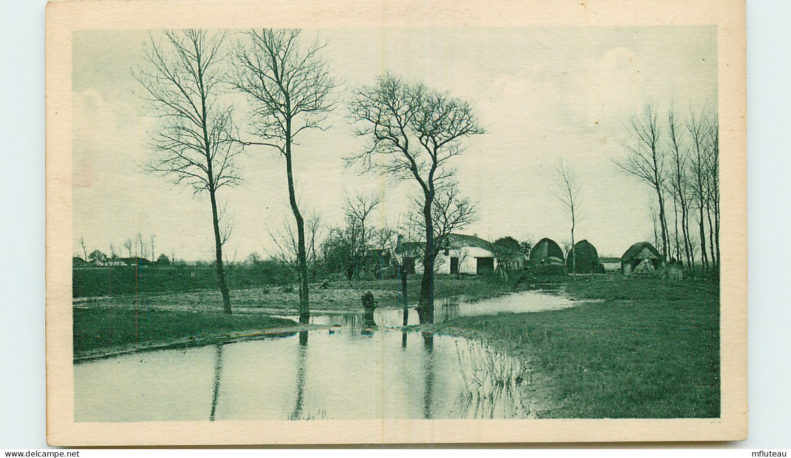 85* VENDEE  Marais                    MA54-0522 - Autres & Non Classés