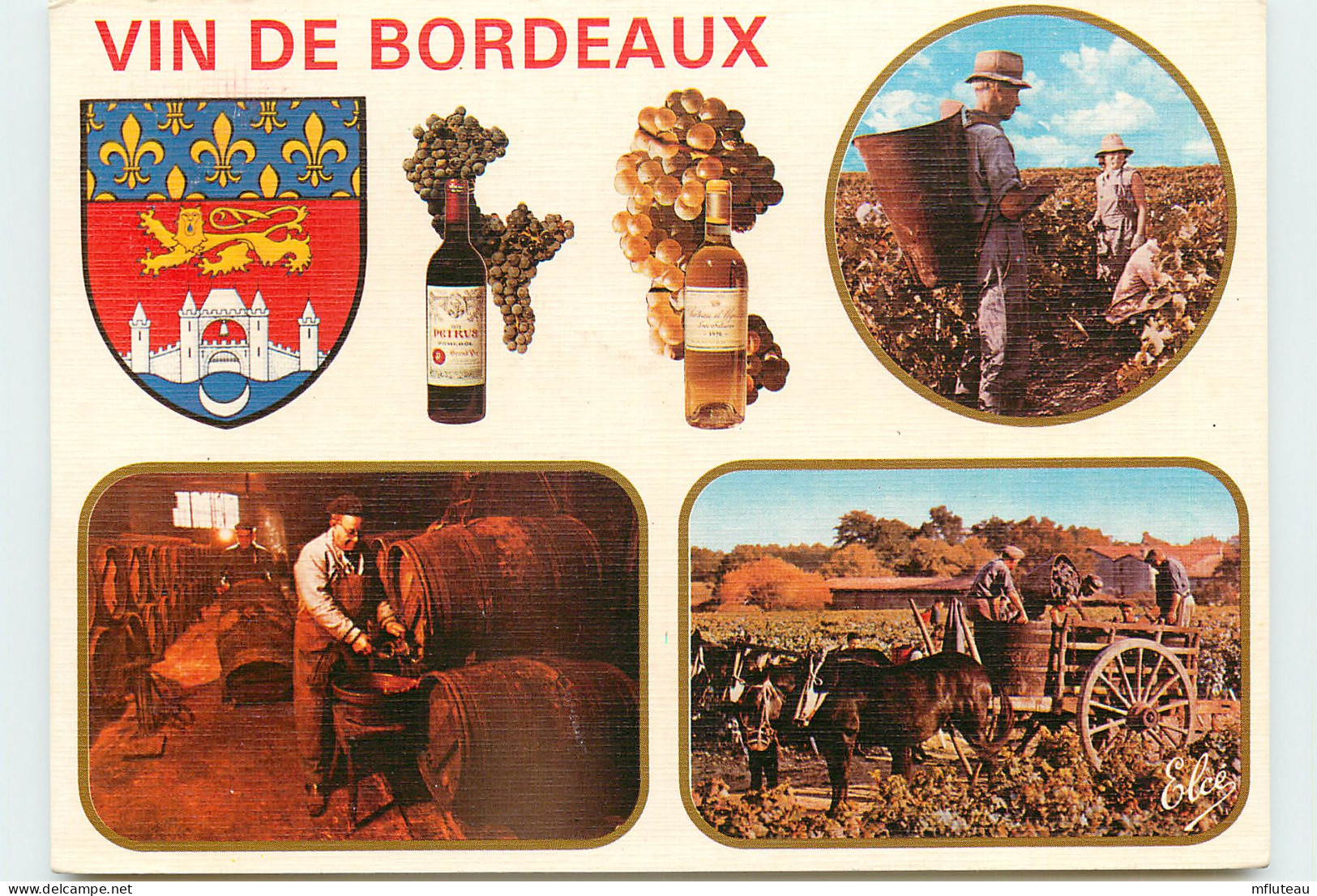 33* BORDEAUX  Vigne  (CPM 10x15cm)                                            MA57-0607 - Bordeaux
