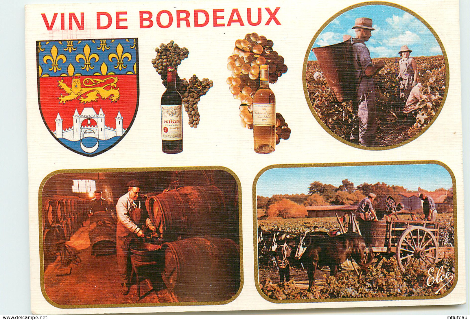 33* BORDEAUX  Vigne  (CPM 10x15cm)                                      MA57-0611 - Bordeaux