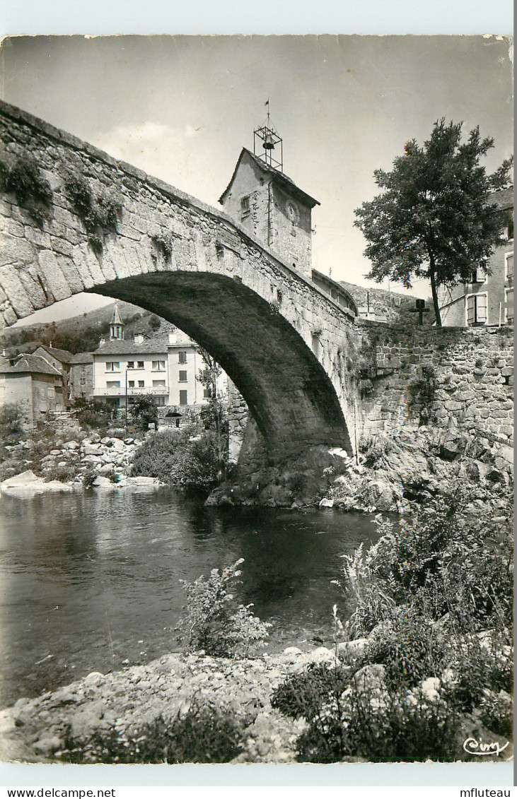 48* LE PONT DE MONTVERT  (CPSM10x15cm)                                           MA58-0417 - Le Pont De Montvert