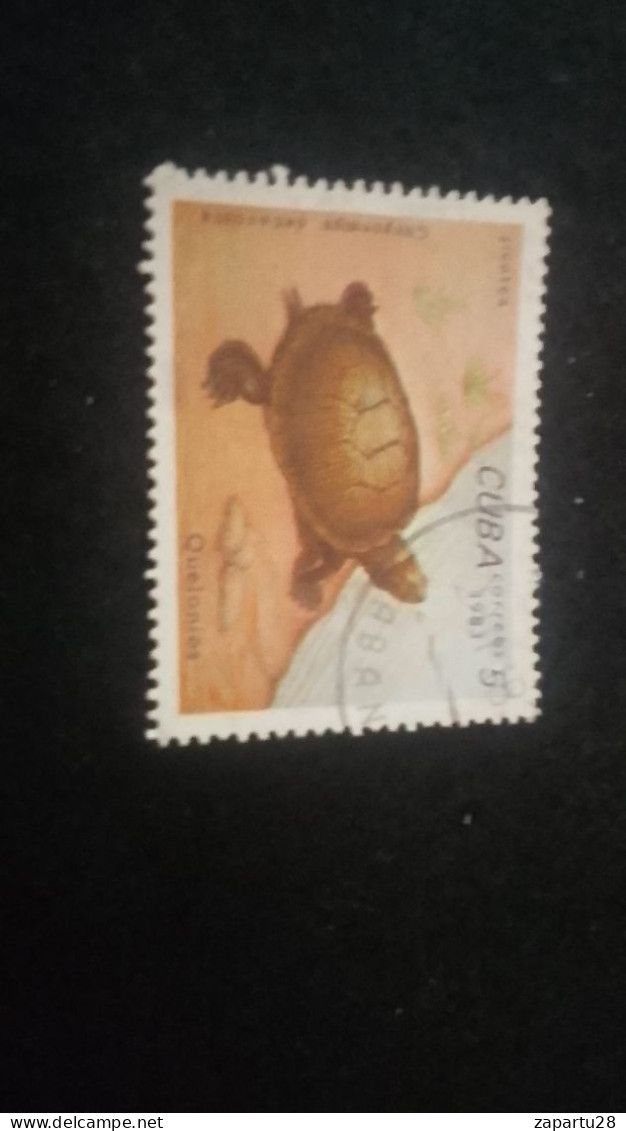 CUBA- 1980-90   5  C.     DAMGALI - Oblitérés