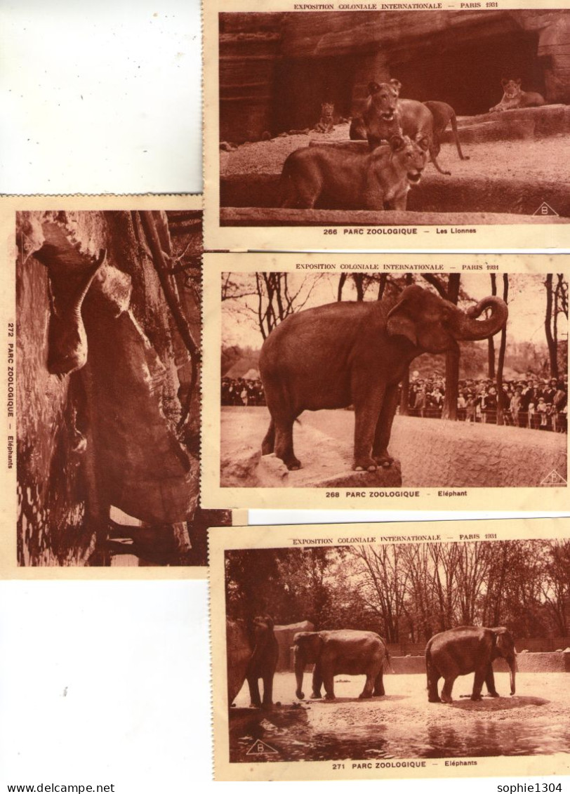 LOT DE 7 CARTES - Exposition Coloniale Internationale - PARIS 1931 - PARC ZOOLOGIQUE  - - Ausstellungen