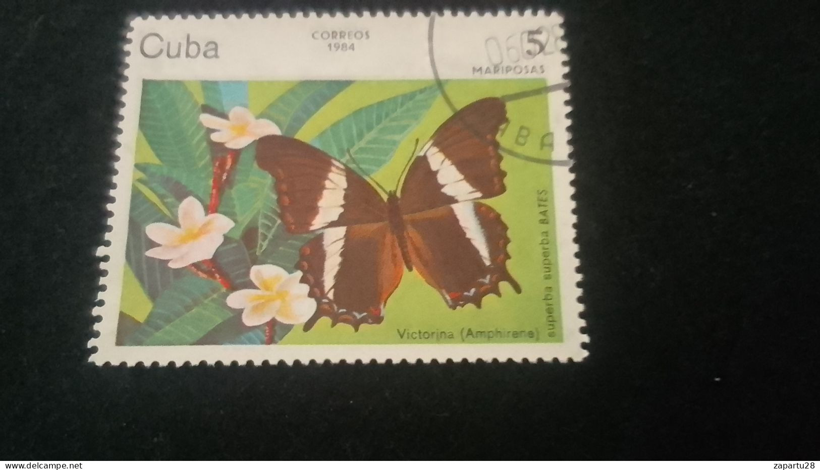 CUBA- 1980-90   5  C.     DAMGALI - Oblitérés