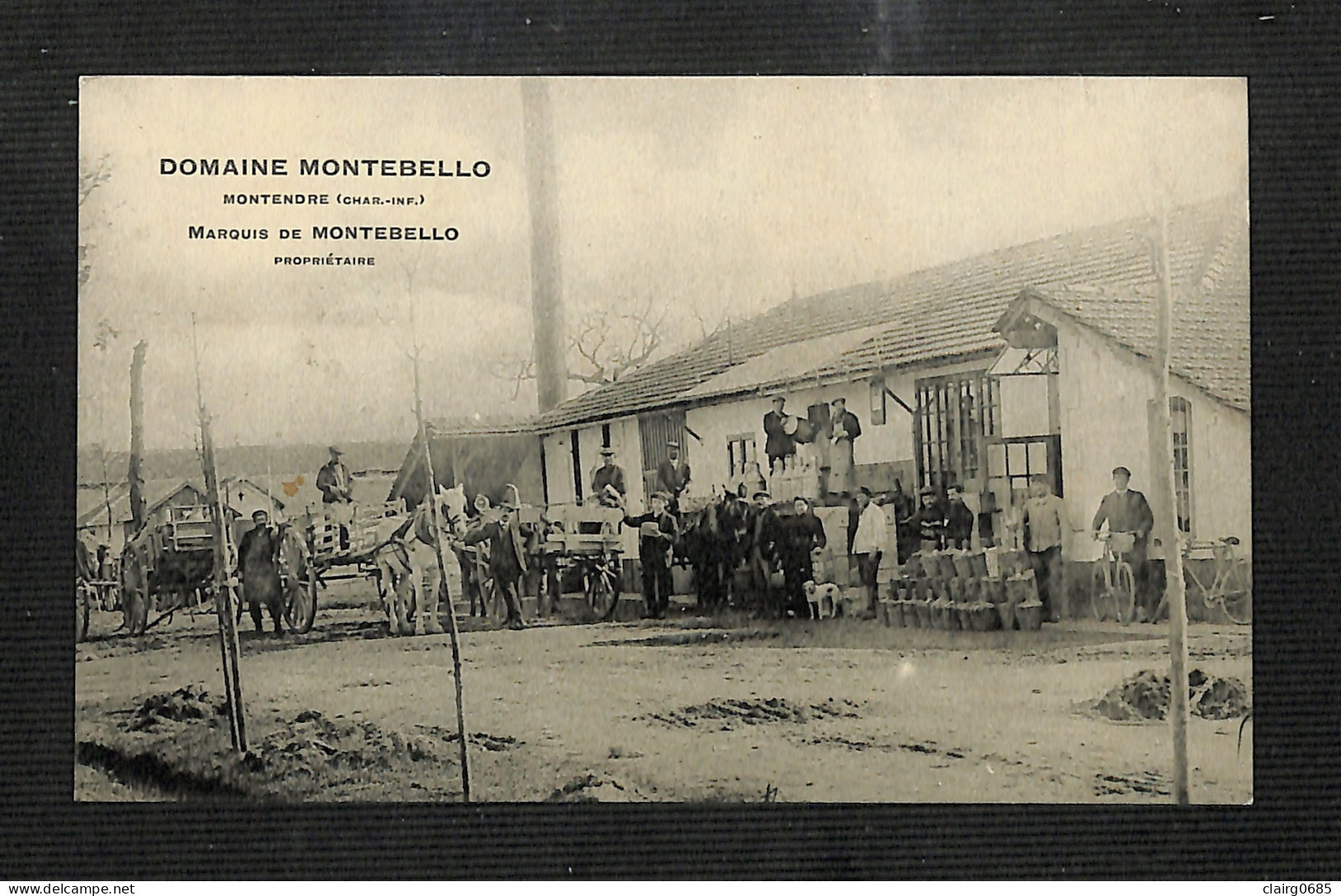 17 - MONTENDRE - Domaine MONTEBELLO - Marquis De MONTEBELLO Propriétaire - 1912 - Montendre