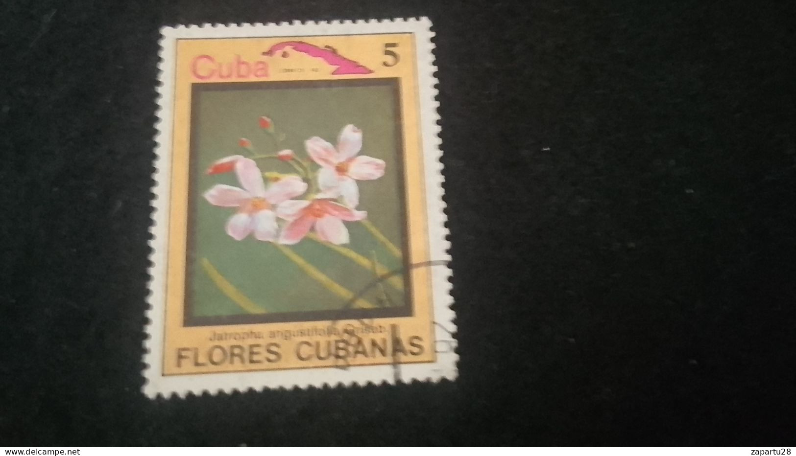 CUBA- 1980-90   5  C.     DAMGALI - Used Stamps