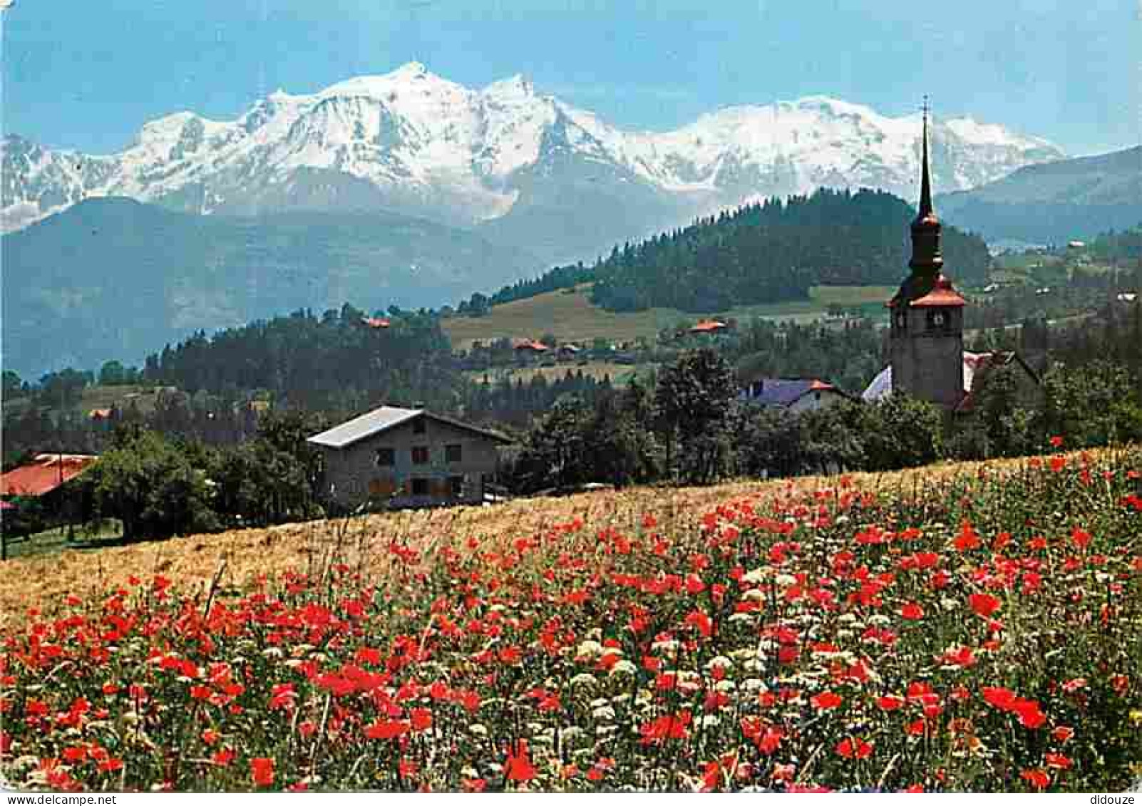 74 - Cordon - Vue Générale - L'Eglise Avec Son Clocher  à Bulbe - Fleurs - Le Mont Blanc - Flamme Postale - CPM - Voir S - Other & Unclassified