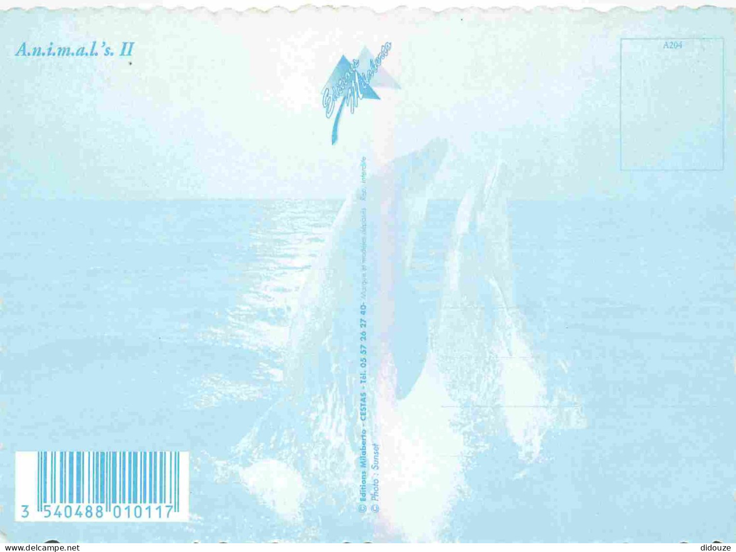 Animaux - Dauphin - Dolphin - Carte à Message - CPM - Carte Neuve - Voir Scans Recto-Verso - Dolfijnen