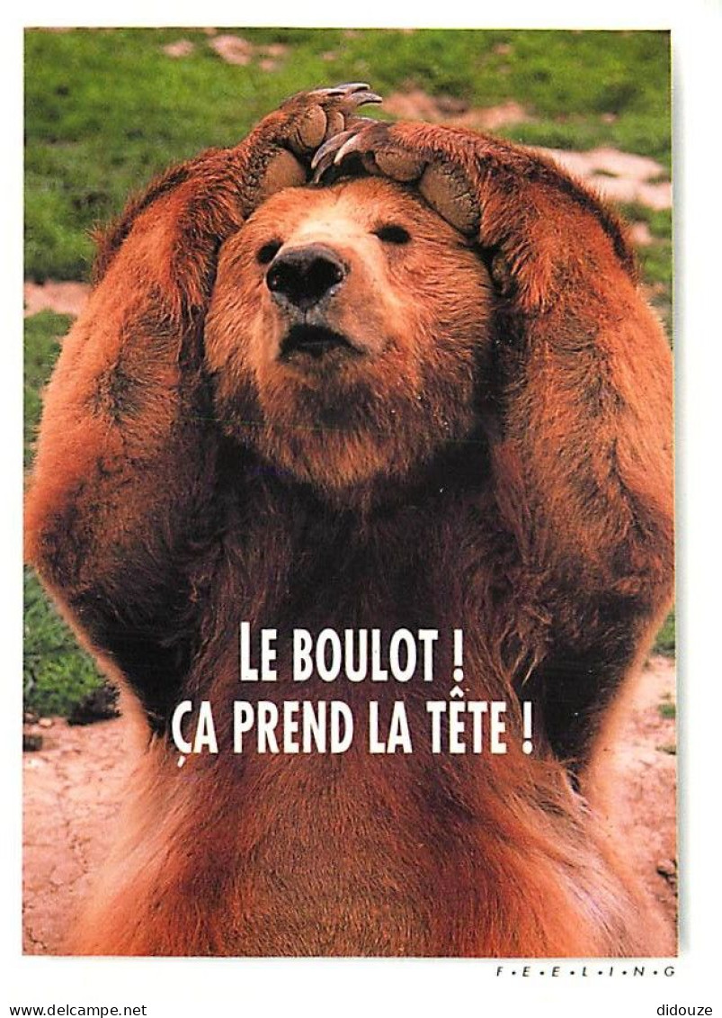 Animaux - Ours - Carte à Message Et Ou Humoristique - CPM - Voir Scans Recto-Verso - Beren