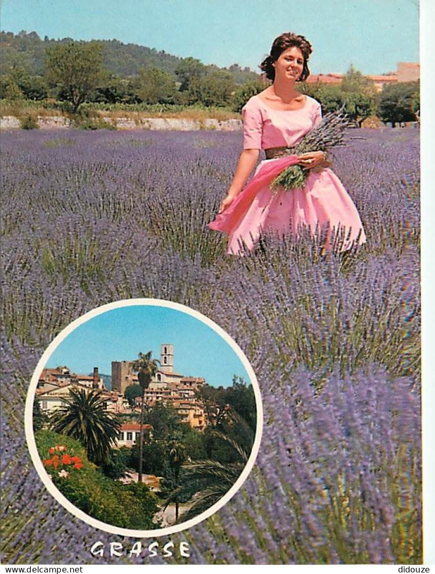 Fleurs - Champs De Lavande - Provence - CPM - Voir Scans Recto-Verso - Flowers