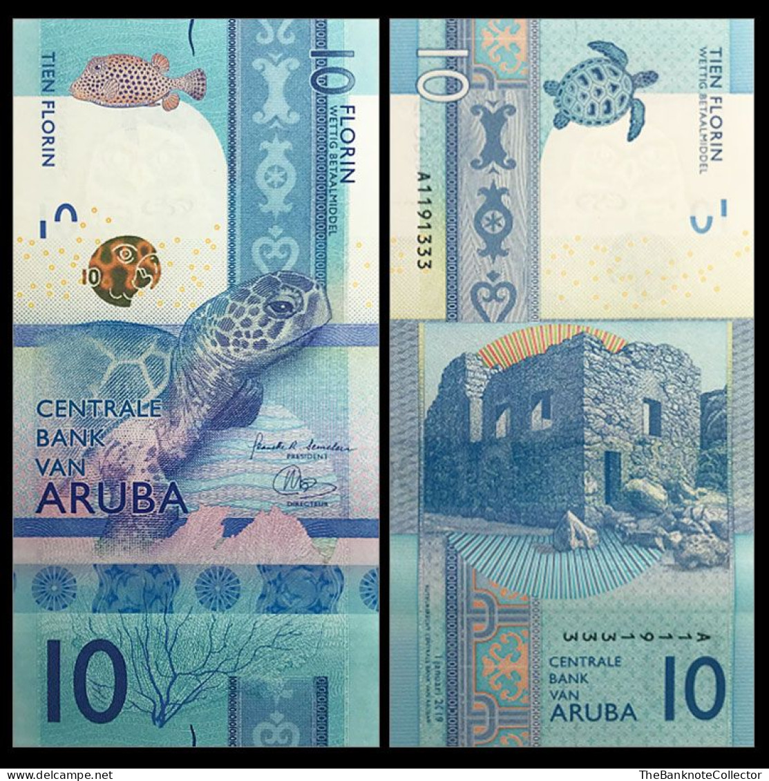 Aruba 10 Florin 2019 P-21 UNC - Aruba (1986-...)