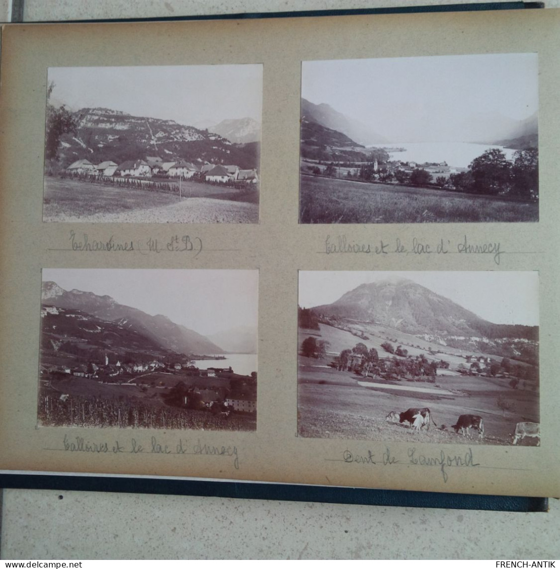 ALBUM PHOTO DE FAMILLE MONTAGNE ANNECY VILLAGE SCENE DE VIE ENVIRON 192 PHOTOS - Albums & Collections