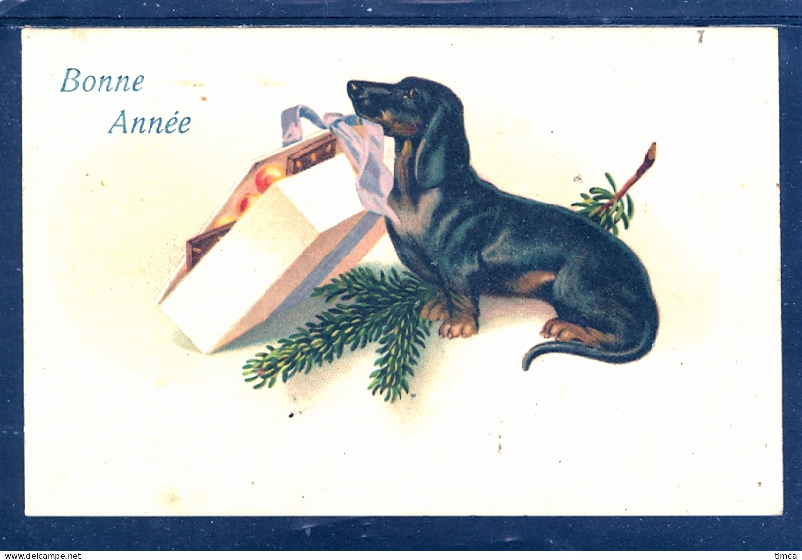 19043 Chien Teckel (Dachshund) Ouvrant Un Paquet De Noël - Dogs