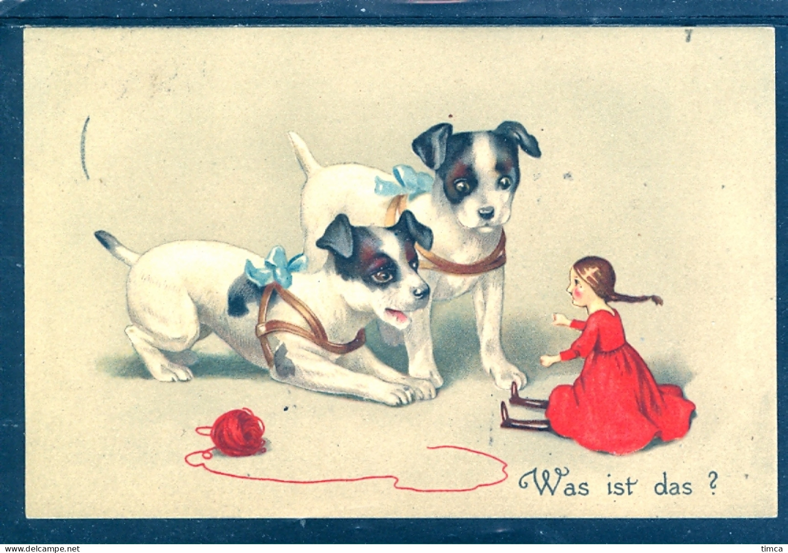19047 Deux Jeunes Chiots S'amusant Avec Une Poupée - Was Ist Das ? - Dogs