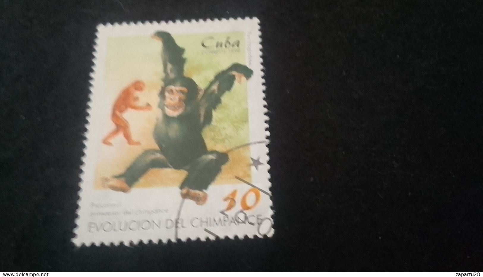 CUBA- 1980-90   10  C.     DAMGALI - Oblitérés