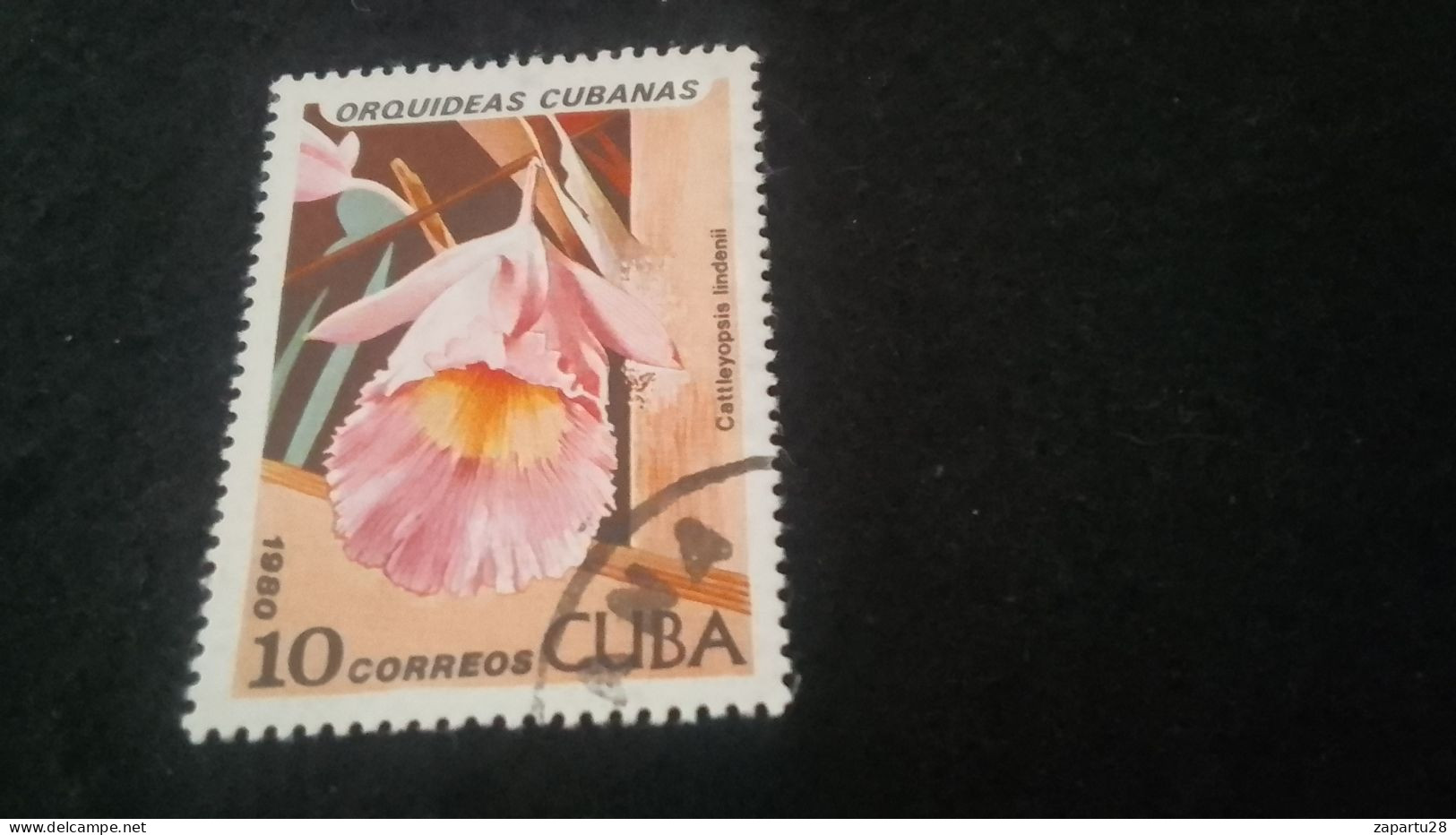 CUBA- 1980-90   10  C.     DAMGALI - Oblitérés