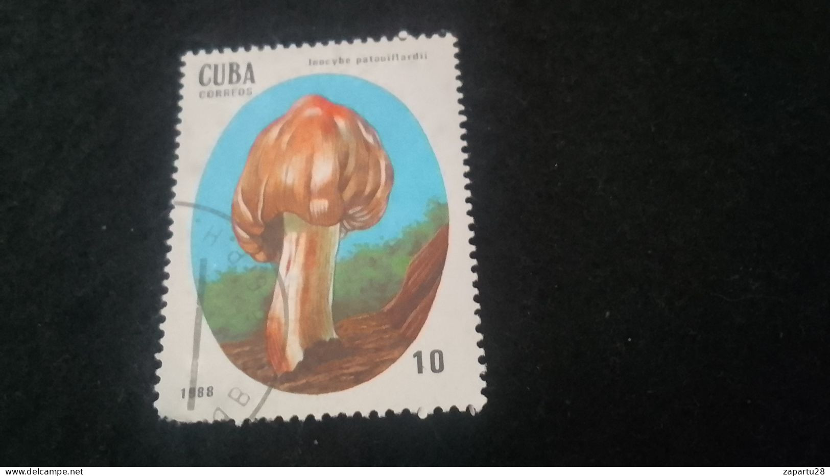 CUBA- 1980-90   10  C.     DAMGALI - Used Stamps