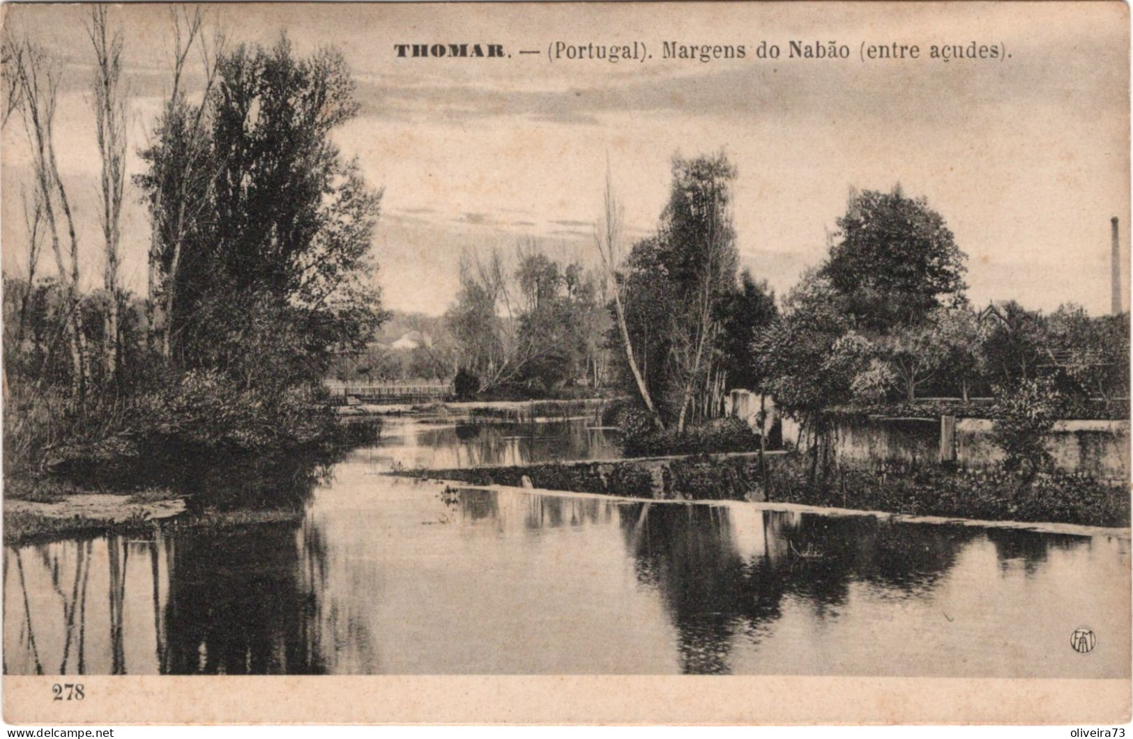 TOMAR - THOMAR - Margens Do Nabão (entre Açudes)(Ed. F. A. Martins   Nº 278) - PORTUGAL - Santarem