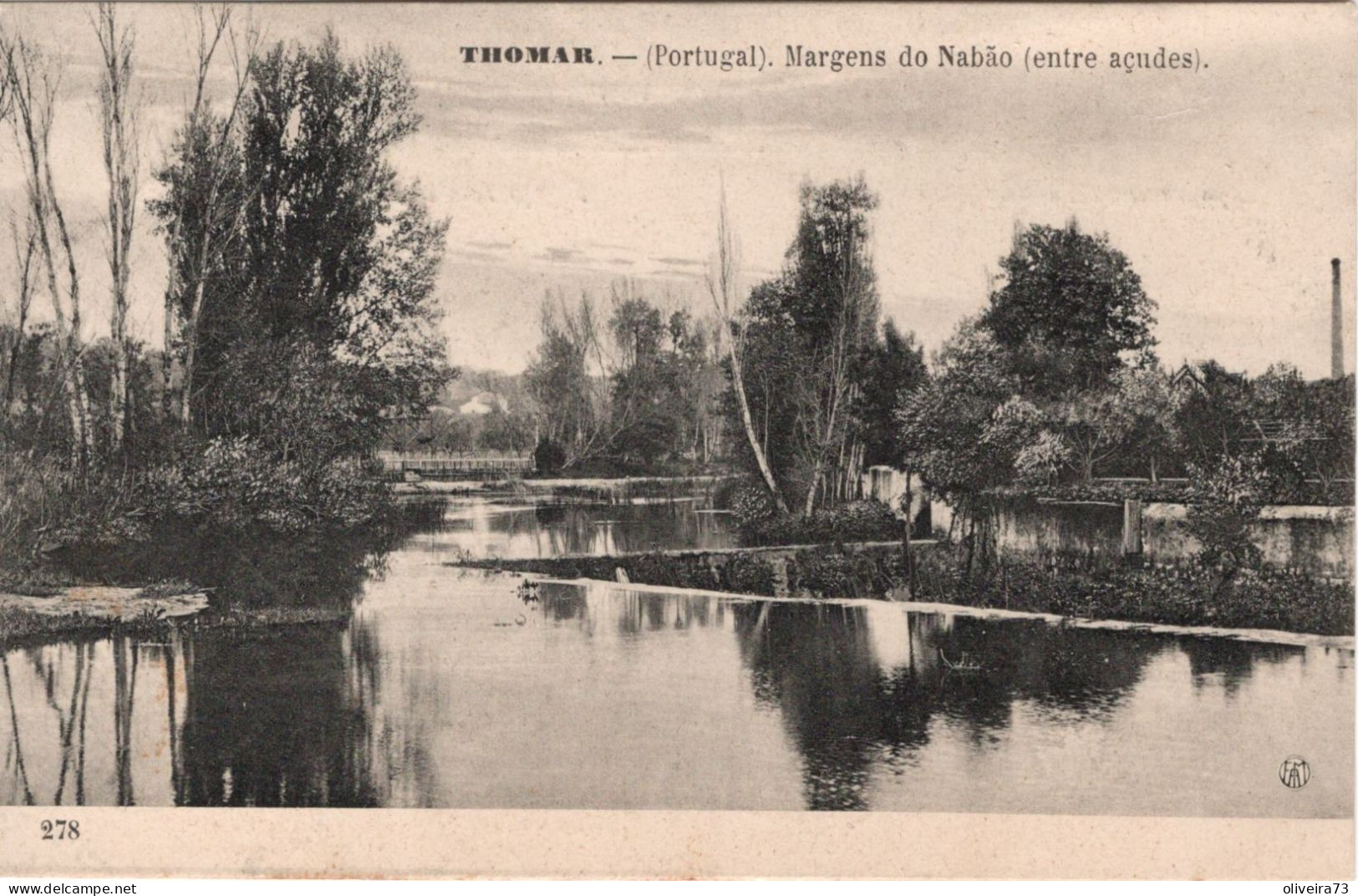 TOMAR - THOMAR - Margens Do Nabão (entre Açudes)(Ed. F. A. Martins   Nº 278) - PORTUGAL - Santarem