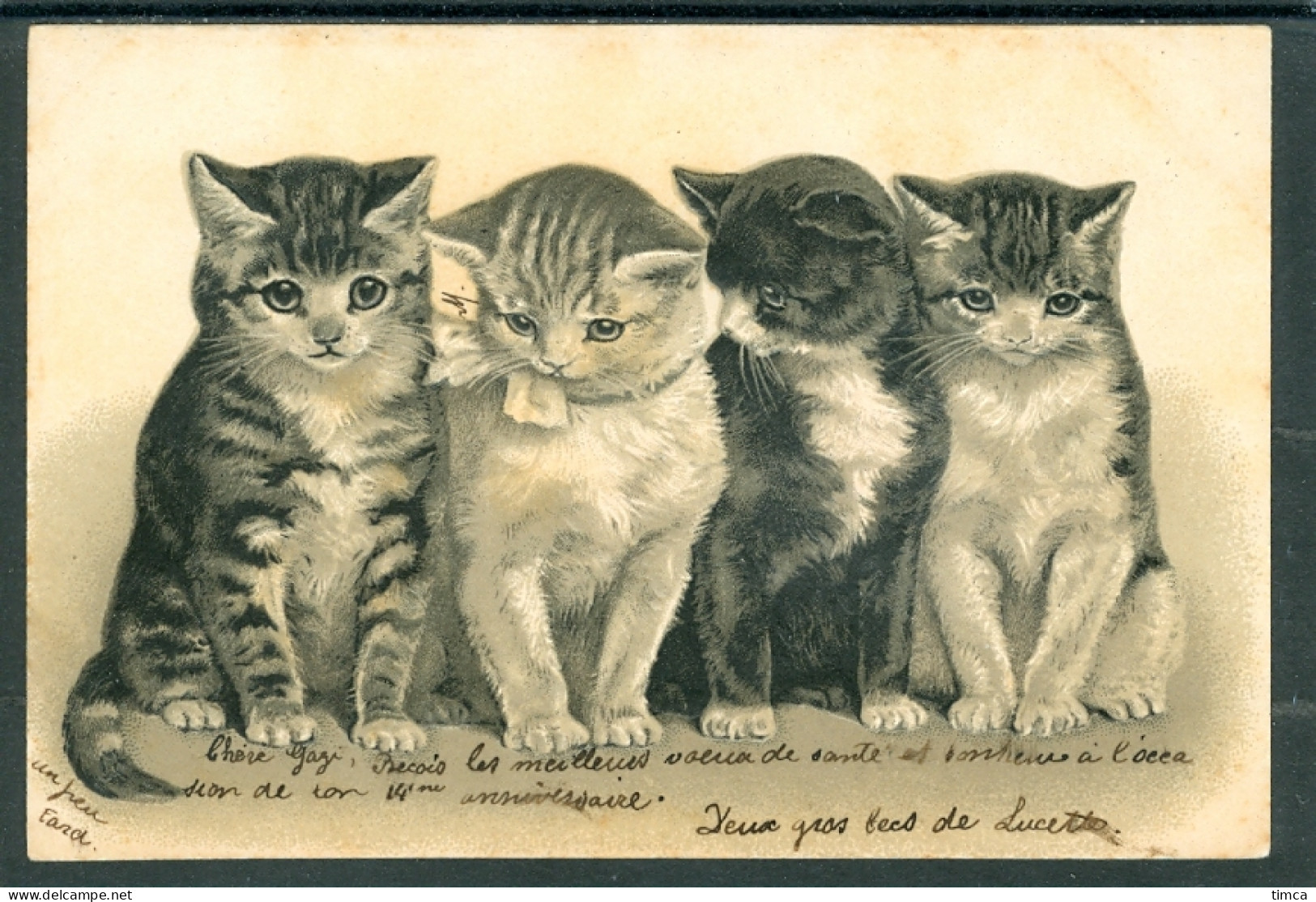 20561 Chats - Groupe De 4 Chats  -  Belle Carte Gaufrée  - Cats