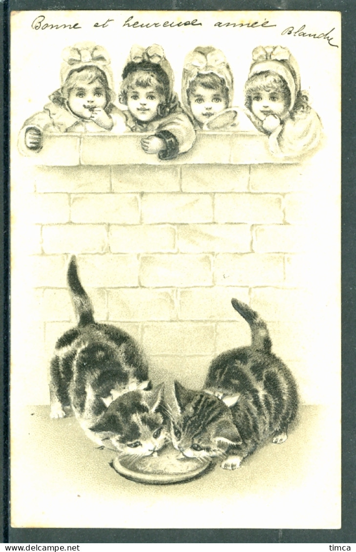 20563  Chats - Deux Chatons Buvant Dans Une Assiette Et Quatre Filles Derrière Un Muret  -  Belle Carte Gaufrée - Cats