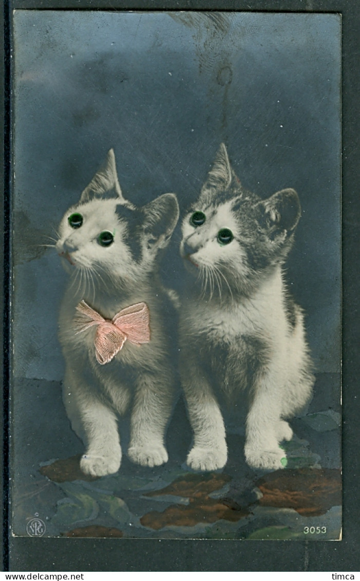 20569 Chats - Deux Chatons Avec Yeux En Verre Et Foulard Rose  -  Comptoir Artistique Lausanne - Cats