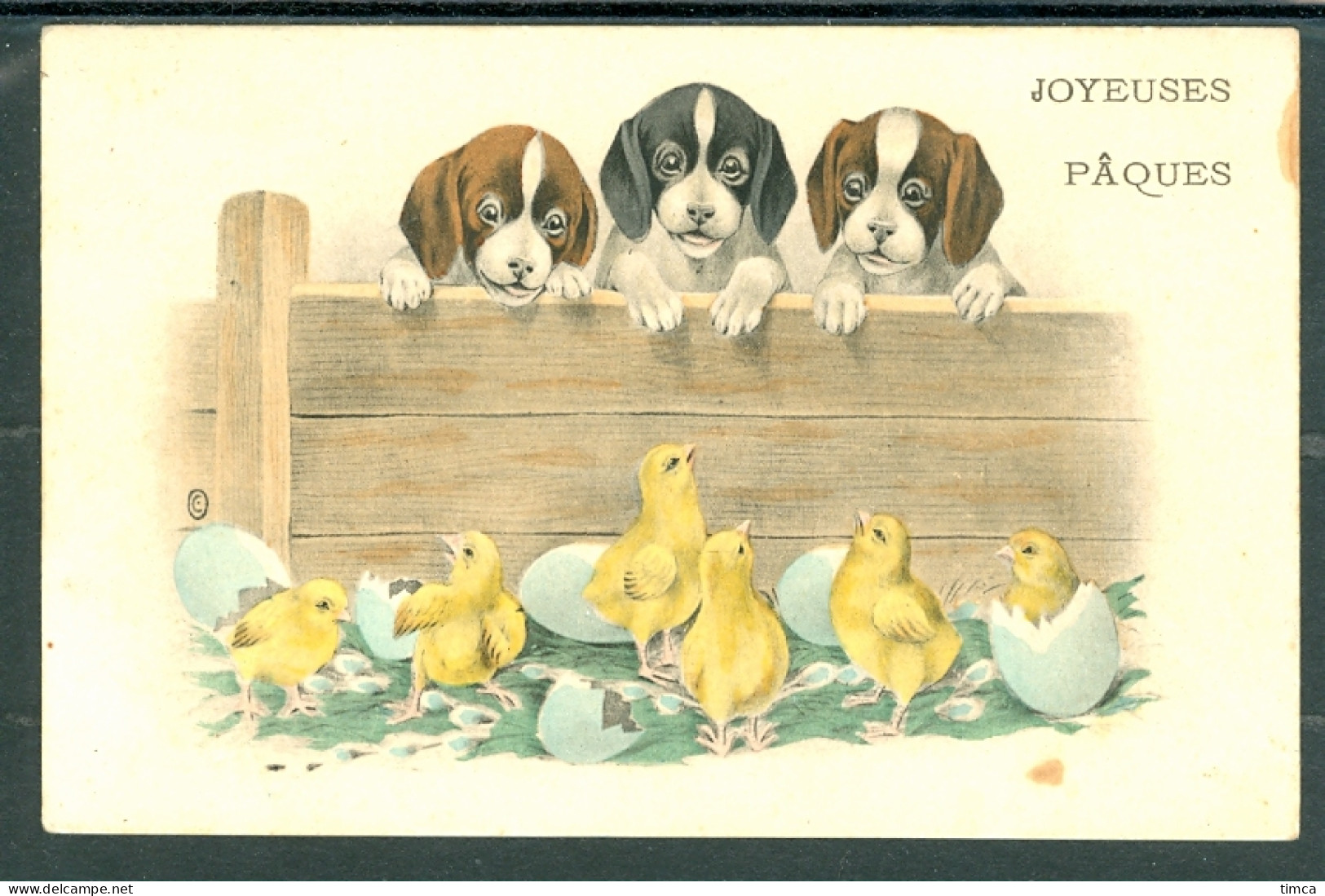 20591 Chien - Trois Petits Chiots Regardant Les Poussins Sortant De Leur Coquille  -  Joyeuses Pâques  - Dogs