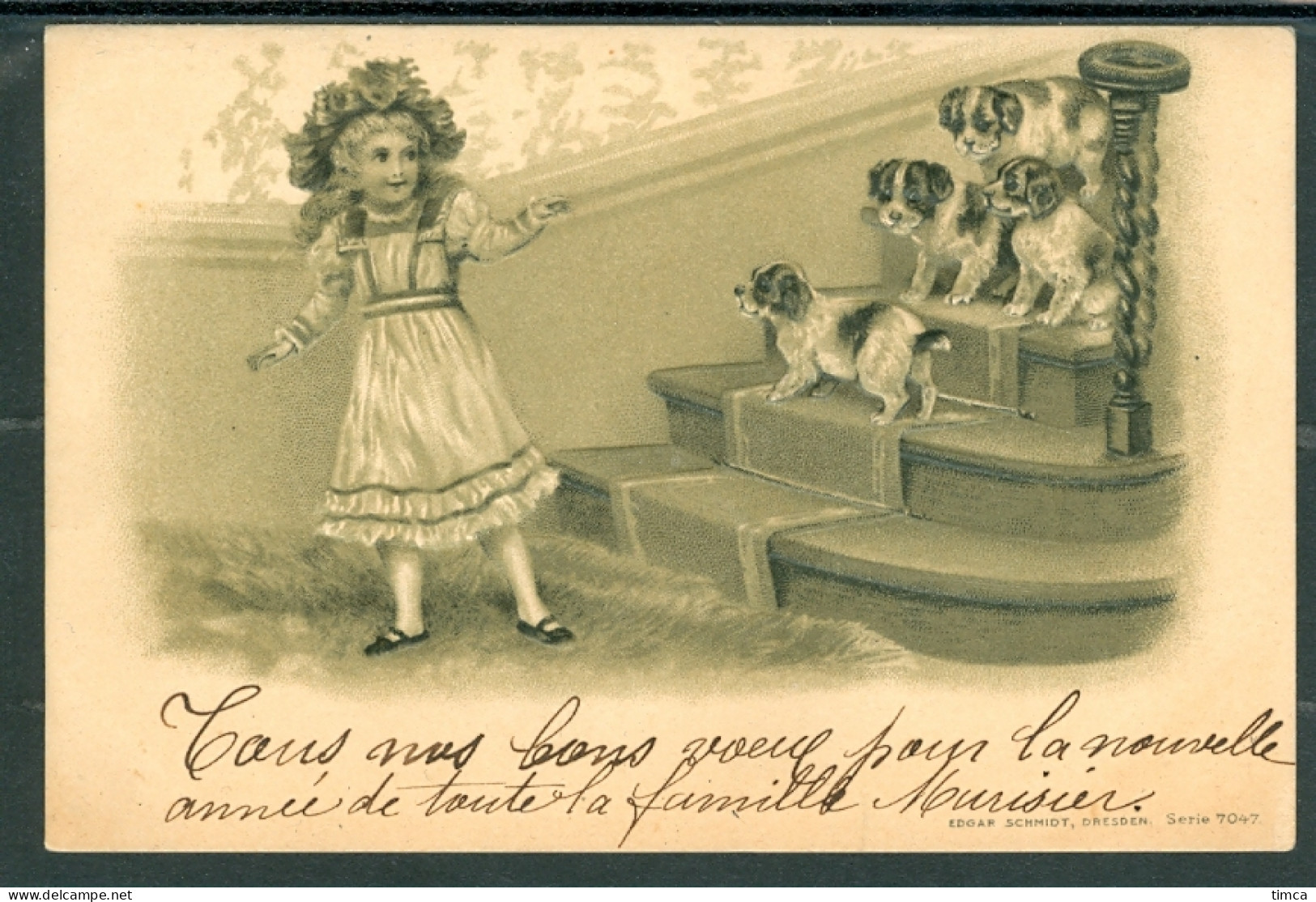 20595 Chien - Jeune Fille Au Bas D’un Escalier Jouant Avec 4 Jeunes Chiots  -  Très Belle Carte Gaufrée  - Dogs