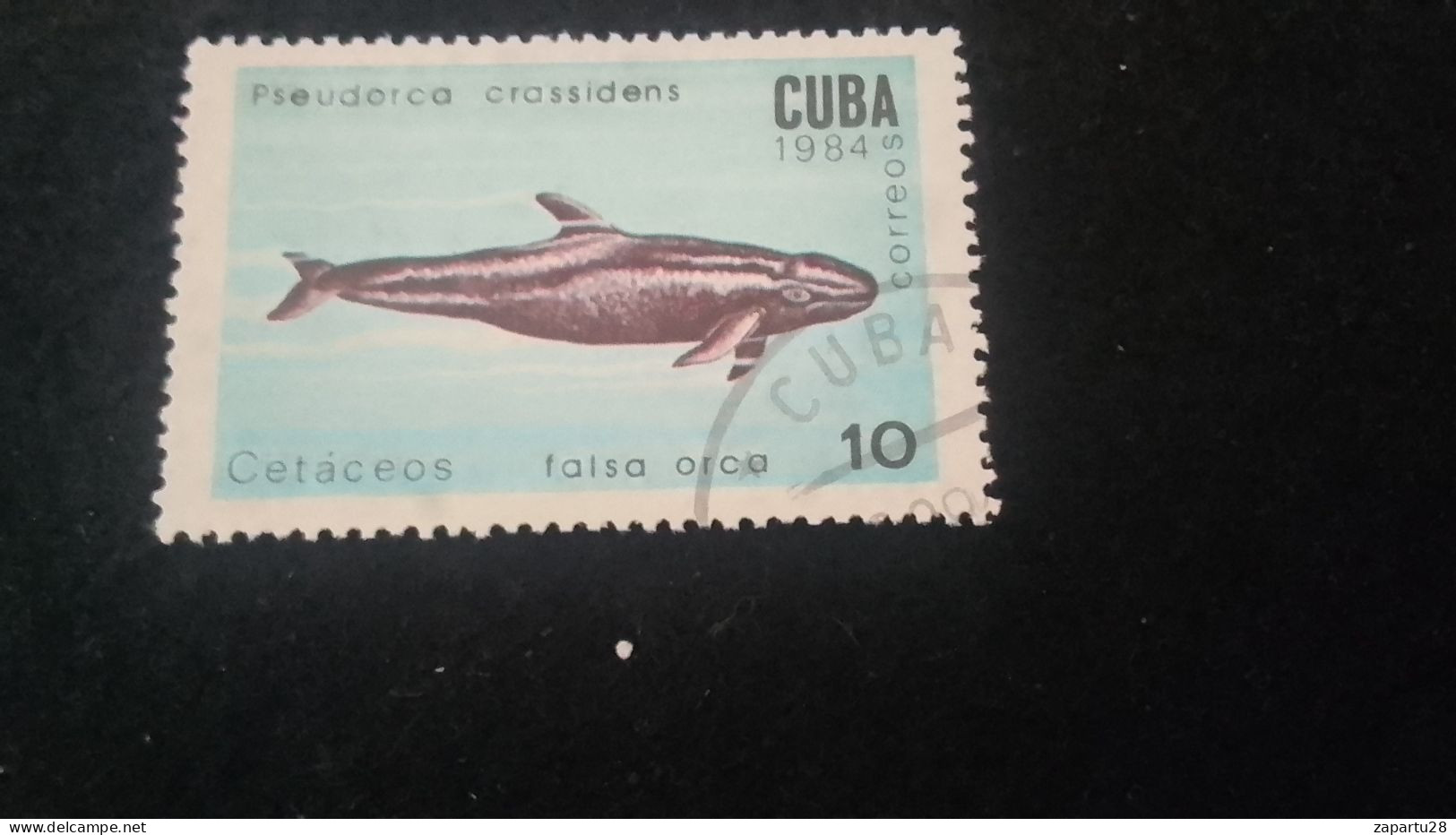 CUBA- 1980-90   10  C.     DAMGALI - Usati