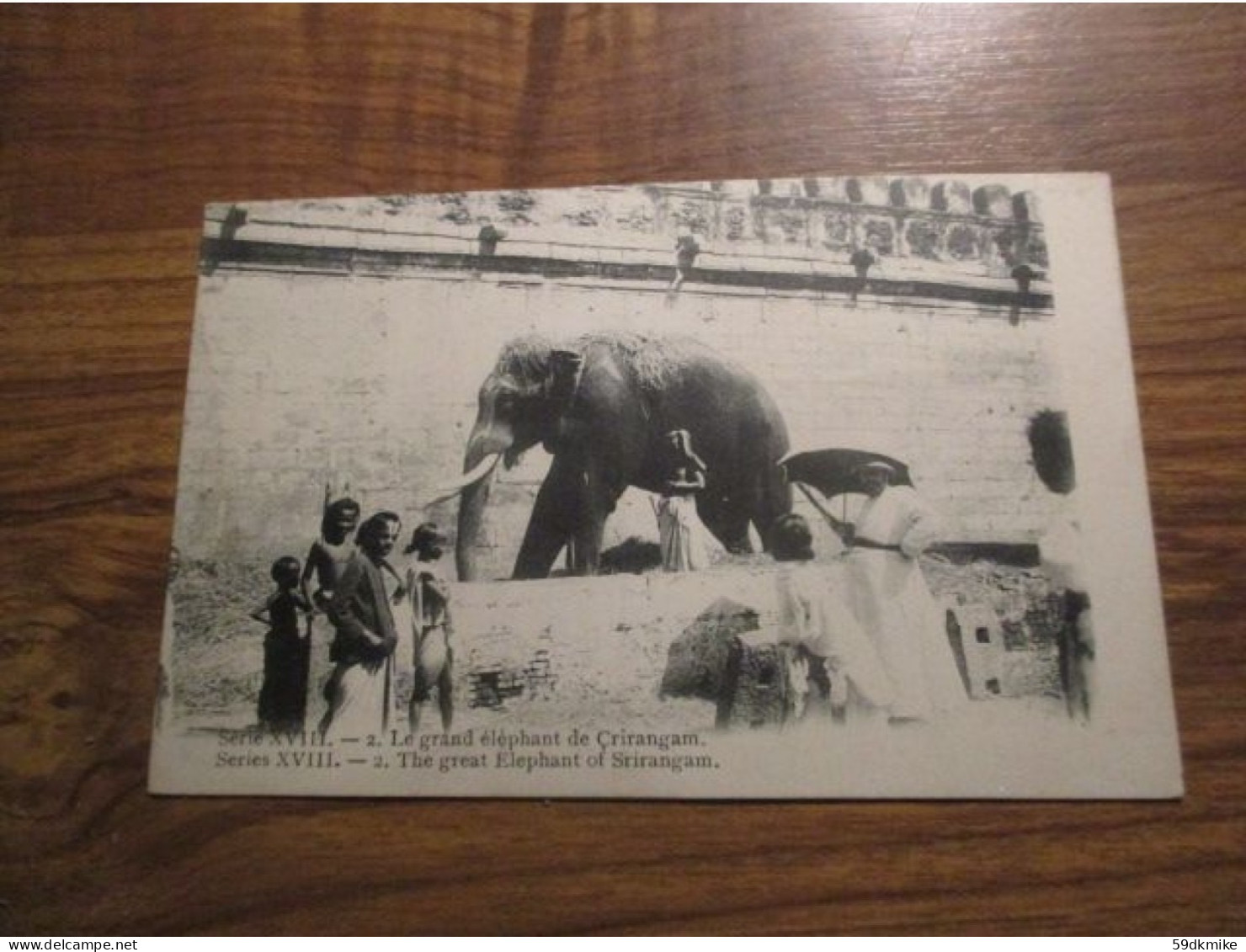 CPA Le Grand éléphant De Crirangam - Elephants