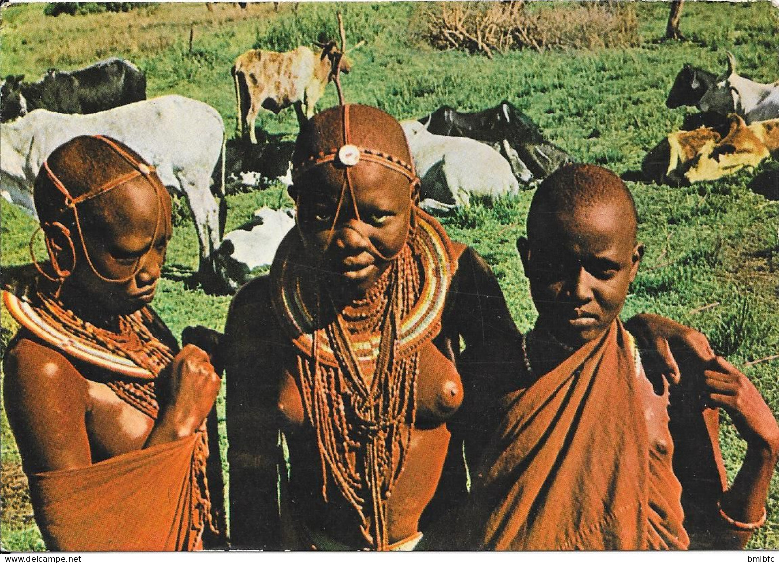 Masai Girls And Woman - Kenia