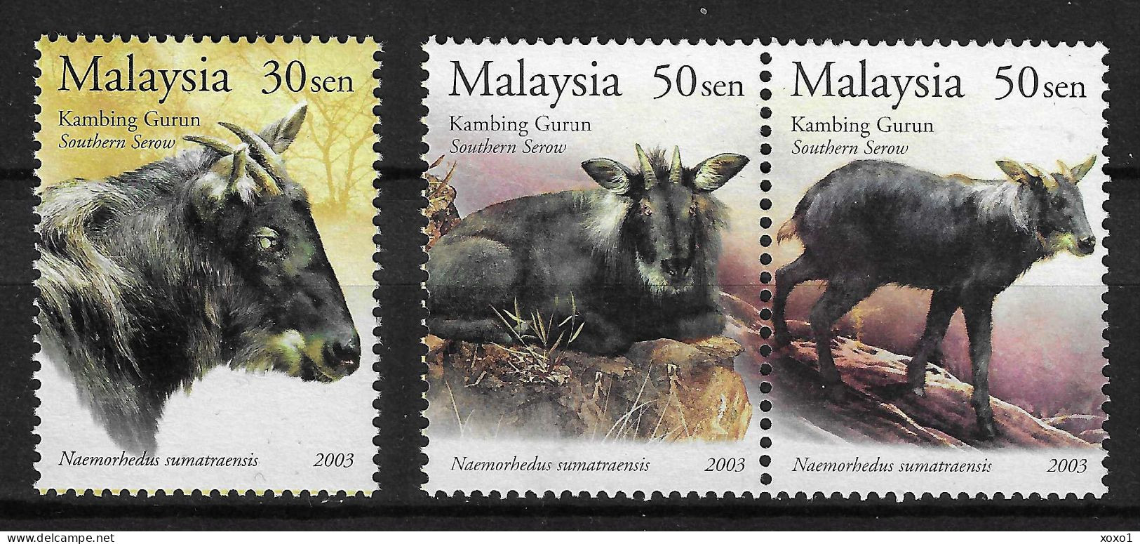Malaysia 2003 MiNr. 1162 - 1164 Animals Mammals Serau (Naemorhedus Sumatraensis) 3v MNH** 3.20 € - Andere & Zonder Classificatie