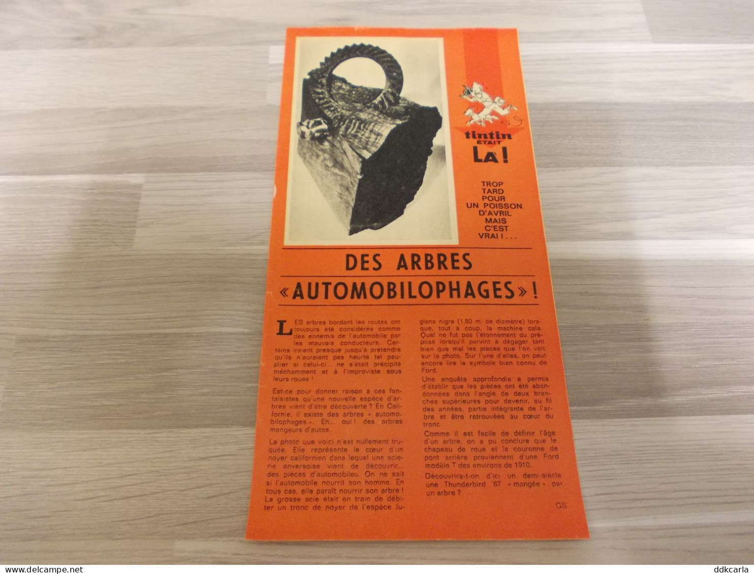 Reportage Uit Oud Tijdschrift 70s - Des Arbres "automobilophages" - Non Classés