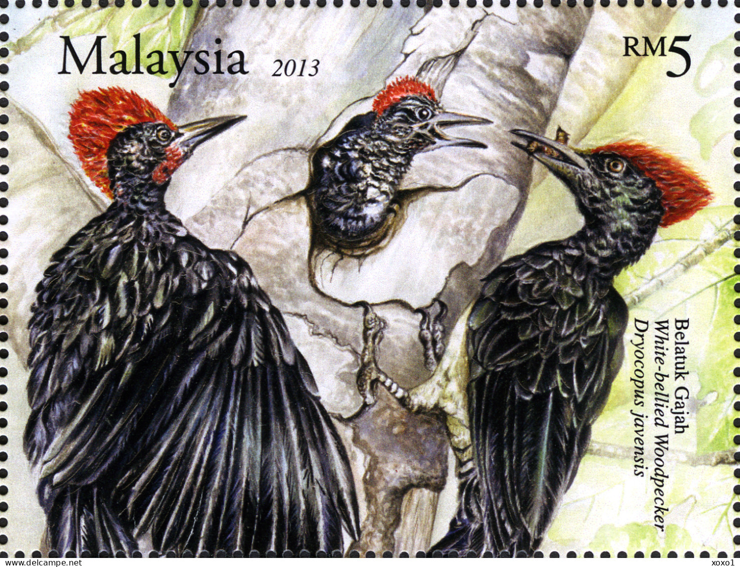 Malaysia 2013 MiNr. 2024 - 2027 (Block 166) BIRDS Woodpeckers 3V + S/sh MNH** 7,40 € - Climbing Birds