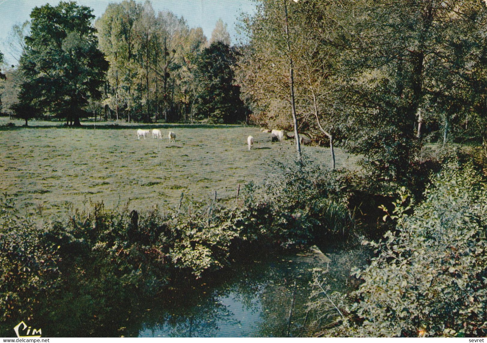 MOUILLERON-en-PAREDS. -  Bords Du Louing. Paysage Du Bocage Vendéen. Carte RARE - Mouilleron En Pareds