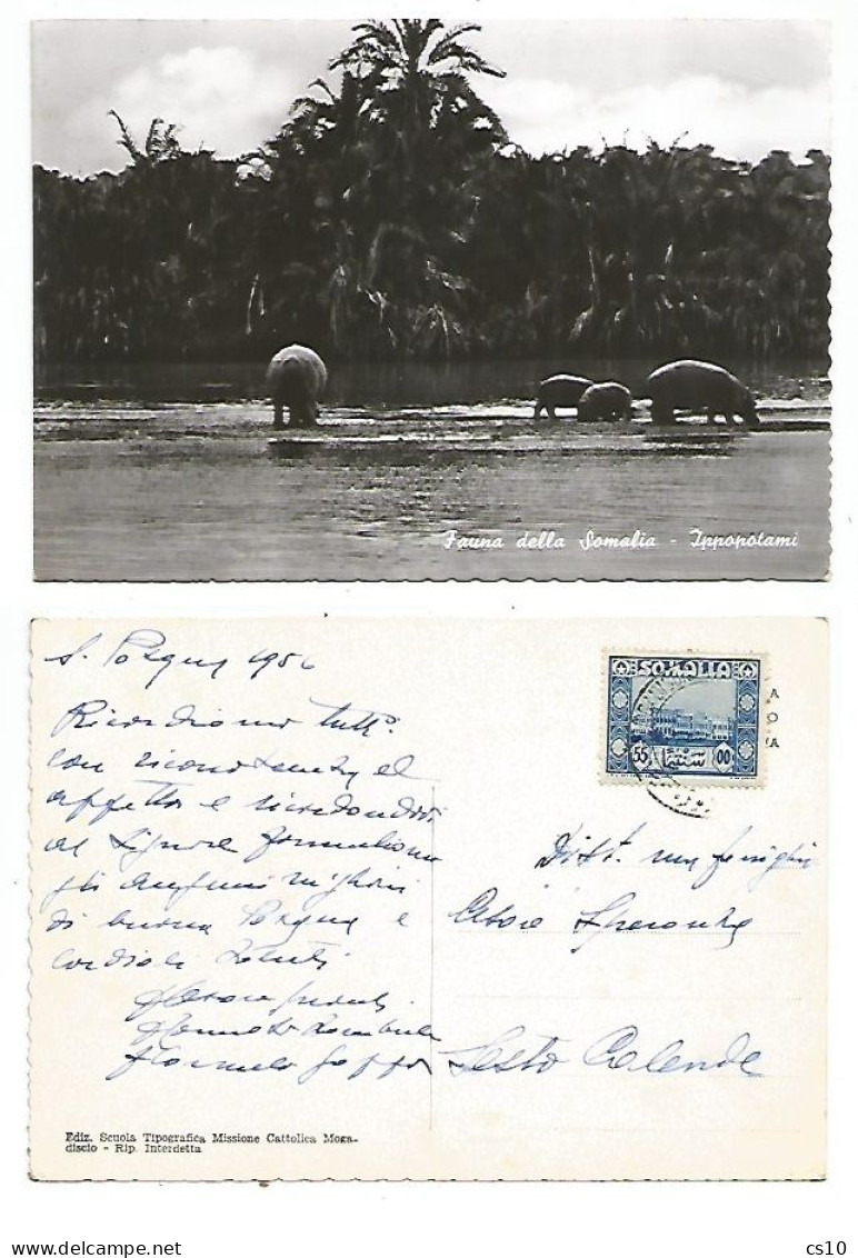 Somalia Fauna Ippopotami Hyppos - B/w Pcard 4apr1956 With Regular Issue C.55 Solo Franking To Italy - Somalie