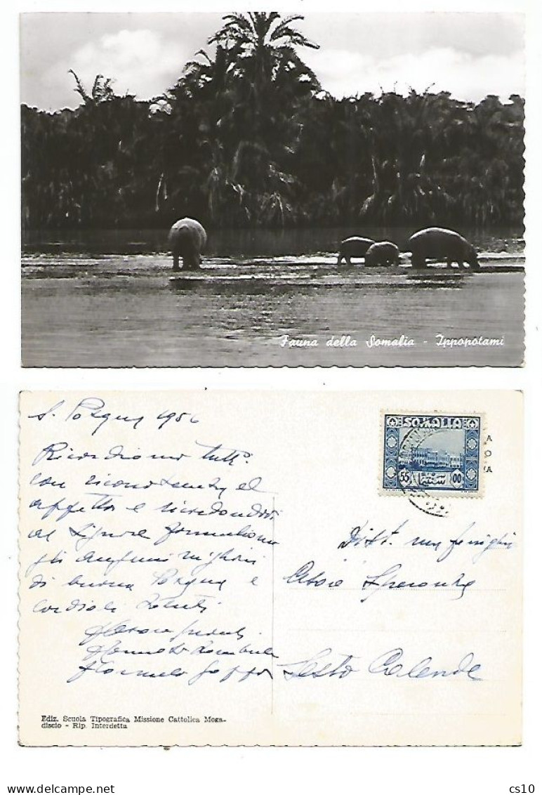 Somalia Fauna Ippopotami Hyppos - B/w Pcard 4apr1956 With Regular Issue C.55 Solo Franking To Italy - Somalie (AFIS)