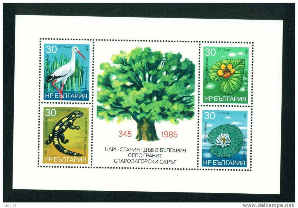 3528 Bulgaria 1986 Environment Protection BLOCK ** MNH / Pointing Stork /Natur- Und Umweltschutz - Picotenazas & Aves Zancudas