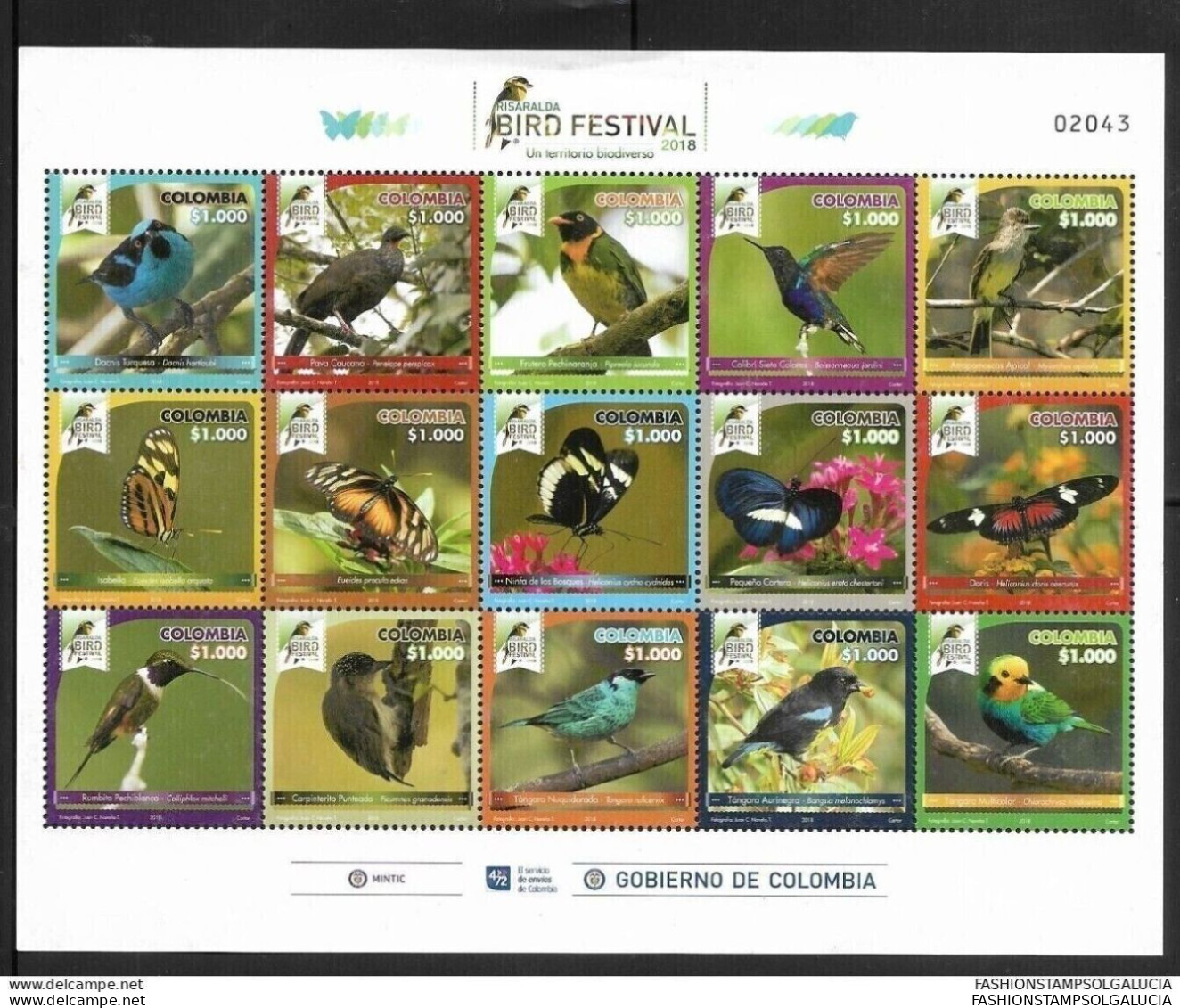 2018 COLOMBIA, BUTTERFLIES, AVIFAUNA, EXOTIC BIRDS, ZOOLOGY, ORNITHOLOGY, SOME IN DANGER OF EXTINCTION, BIRD WATCHING, R - Colombia