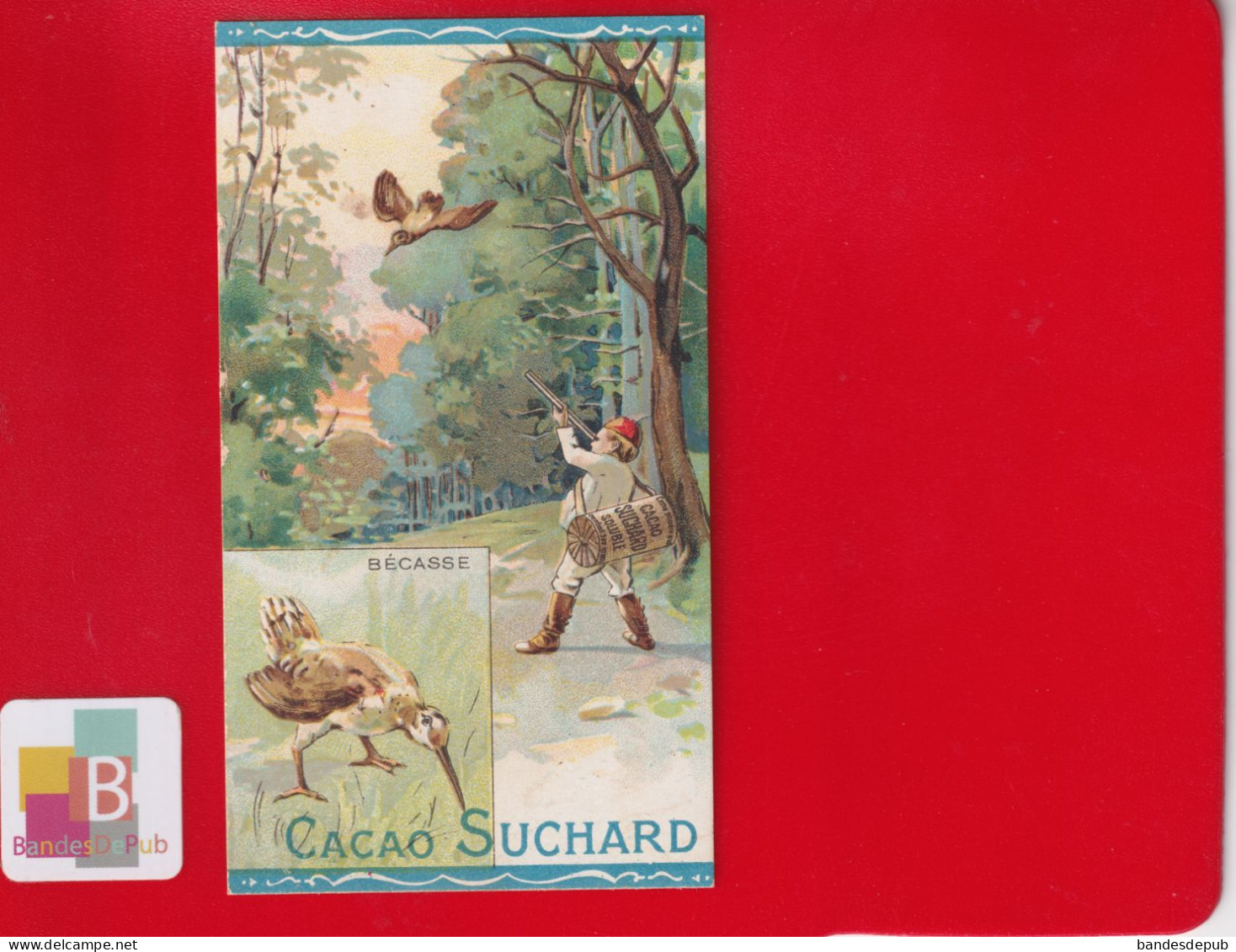 Chromo Suchard Chasse Chasseur Fusil Bécasse Oiseau - Suchard