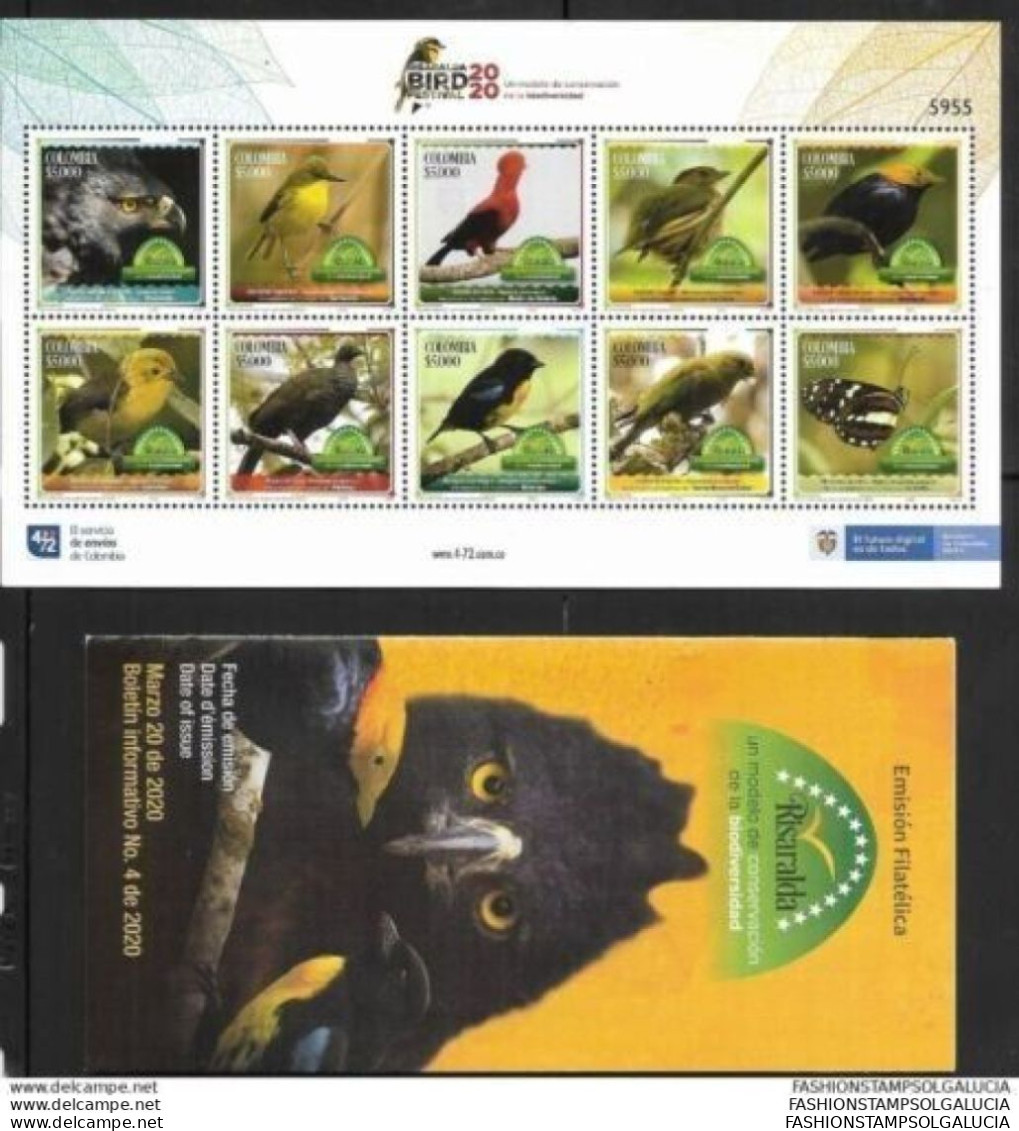 2020 COLOMBIA, ZOOLOGY, ORNITHOLOGY, BIRDS, SOME ENDANGERED, RISARALDA CONVERVATION OF BIODIVERSITY, ADVENTURE AND NATUR - Colombia