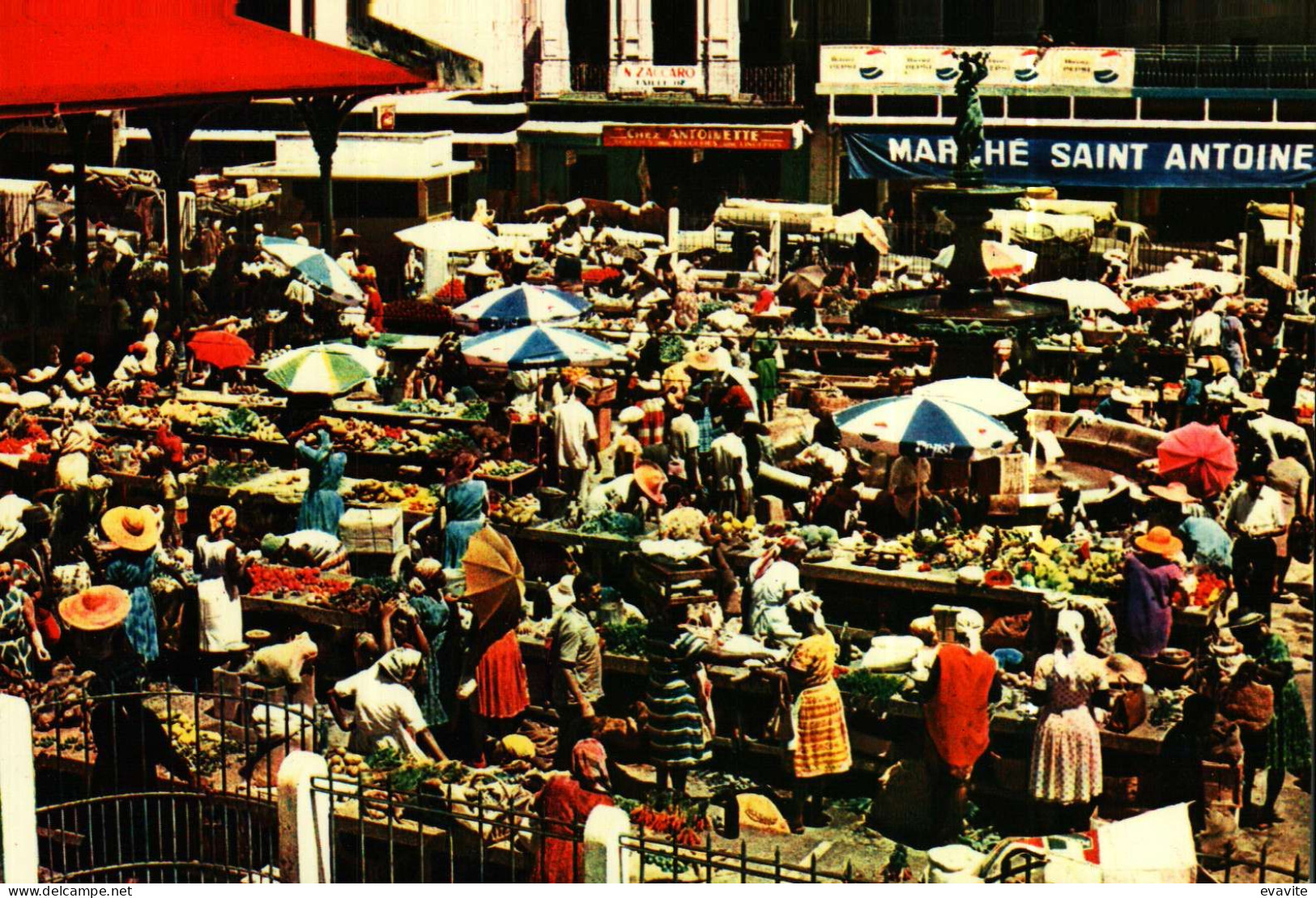 CP    Guadeloupe   Le Marché De POINTE-à-PITRE - Pointe A Pitre