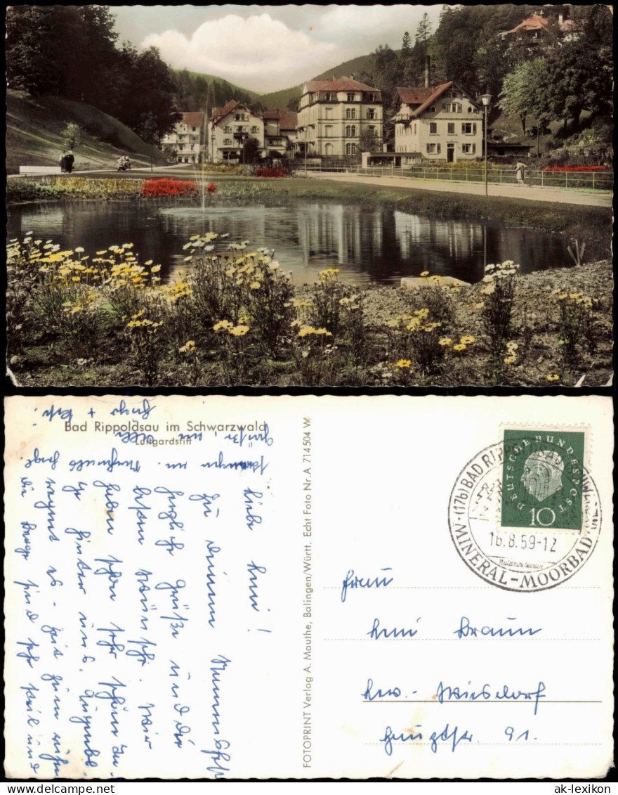 Bad Rippoldsau-Bad Rippoldsau-Schapbach Luftgardstift Colorfoto AK 1959 - Bad Rippoldsau - Schapbach