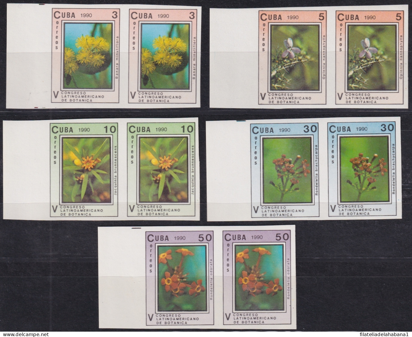 1990.122 CUBA MNH 1990 IMPERFORATED PROOF BOTANICAL CONGRESS FLOWER FLORES PAIR.  - Ongetande, Proeven & Plaatfouten