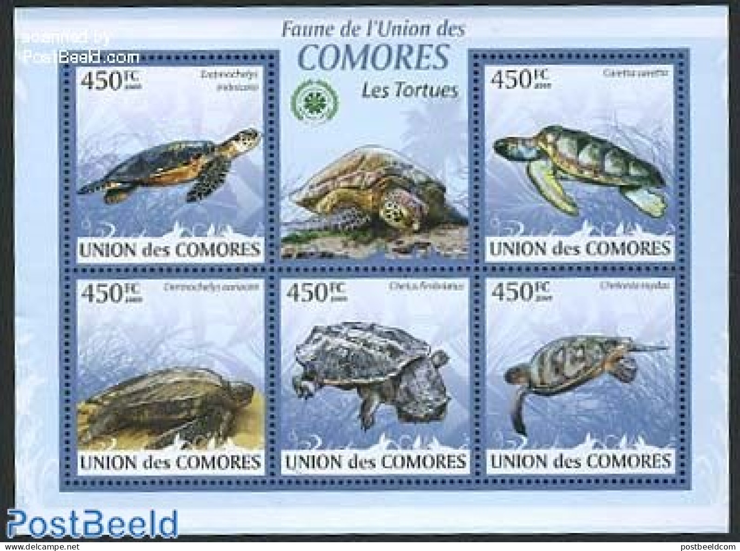 Comoros 2009 Turtles 5v M/s, Mint NH, Nature - Reptiles - Turtles - Comores (1975-...)