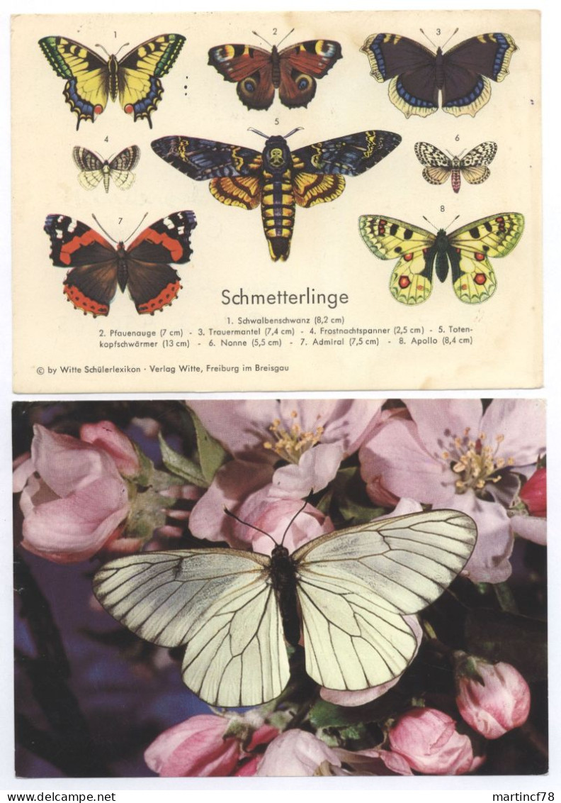 Schmetterlinge Witte Schülerlexikon + Baumweißling Foto Lederer Gelaufen 1977+1975 - Papillons