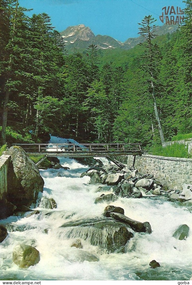 *CPM -  ESPAGNE - CATALOGNE - VALL D'ARAN - Paysage à Artiga De Lin - Lérida